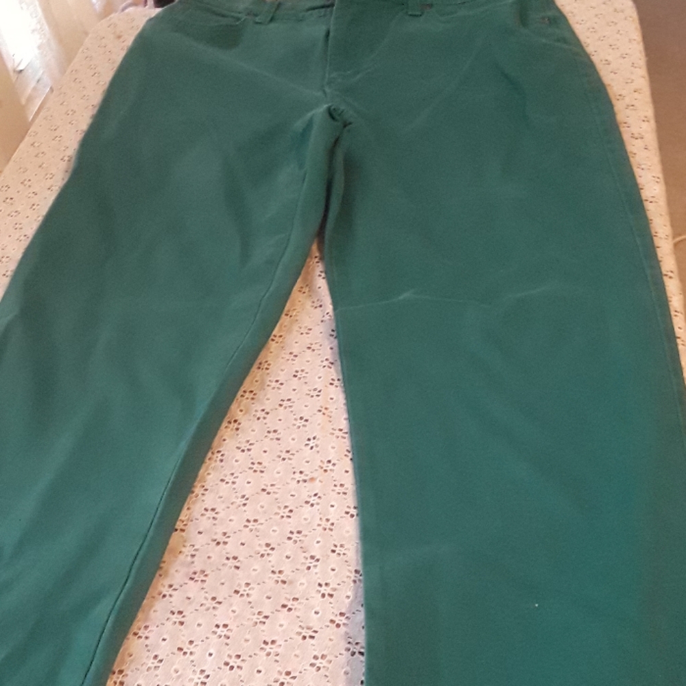 Gloria Vanderbilt Green long pants - Picture 1 of 4